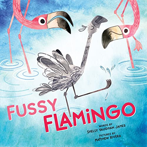 Fussy Flamingo by Shelly Vaughan James, Matthew Rivera, 9781728209708