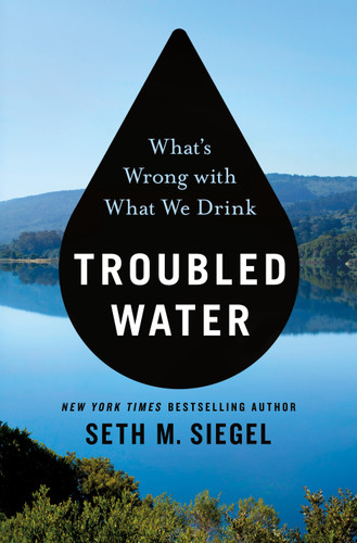 Troubled Water (What's Wrong with What We Drink) by Seth M. Siegel, 9781250132543