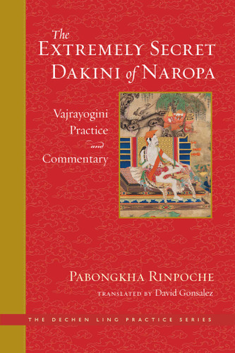 The Extremely Secret Dakini of Naropa (Vajrayogini Practice and Commentary) by Pabongkha Dechen Nyingpo, David Gonsalez, 9781614295426