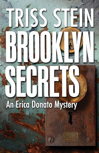 Brooklyn Secrets (An Erica Donato Mystery) by Triss Stein, 9781464204104