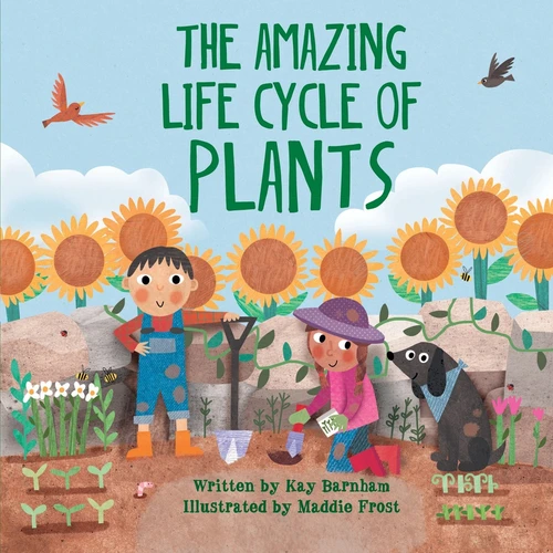 The Amazing Life Cycle of Plants by Kay Barnham, Maddie Frost, 9781438050430