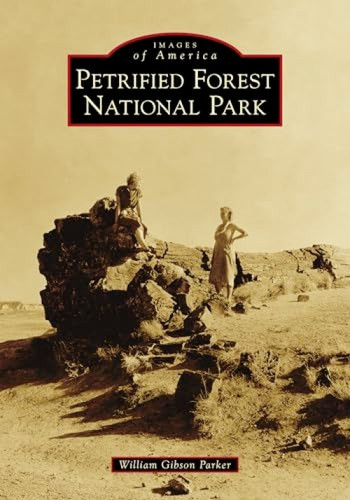 Petrified Forest National Park by William Parker, 9781467104906