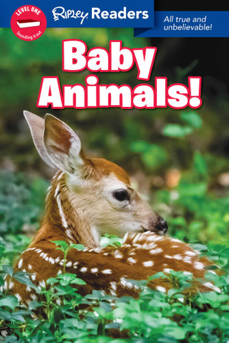 Ripley Readers LEVEL1 LIB EDN Baby Animals! by Ripley's Believe It Or Not!, 9781609914387