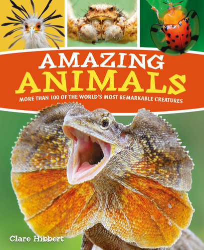Amazing Animals (More than 100 of the World's Most Remarkable Creatures) - 9781839405884 by Claire Hibbert, Clare Hibbert, 9781839405884