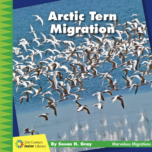 Arctic Tern Migration by Susan H. Gray, 9781534168572