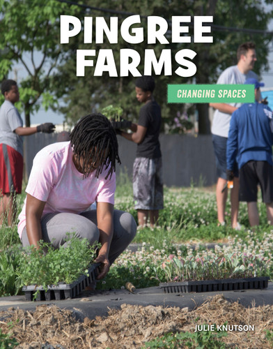 Pingree Farms by Julie Knutson, 9781534169050