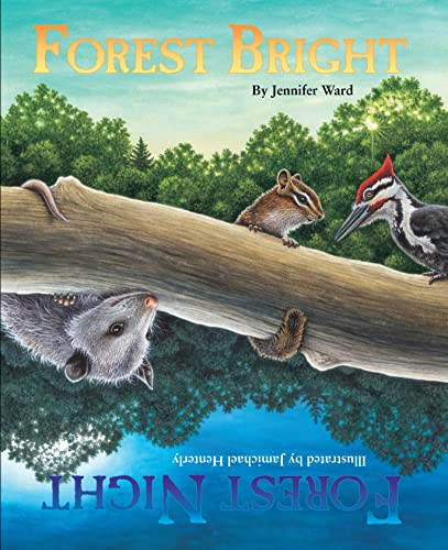 Forest Bright, Forest Night - 9781584690672 by Jennifer Ward, Jamichael Henterly, 9781584690672