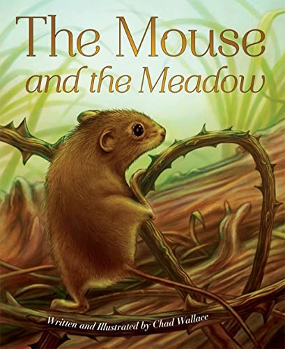 The Mouse and the Meadow by Chad Wallace, 9781584694816