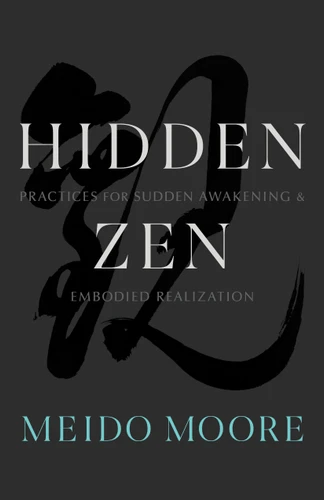 Hidden Zen (Practices for Sudden Awakening and Embodied Realization) by Meido Moore, 9781611808469