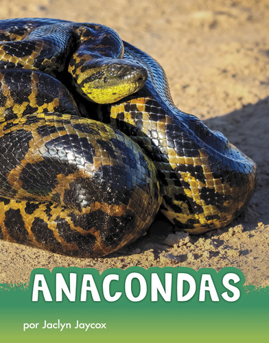 Anacondas (Spanish Edition) by Jaclyn Jaycox, Aparicio Publishing LLC, 9781977125477