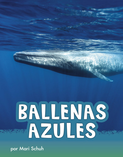 Ballenas azules (Blue Whales) (Spanish Edition) by Mari Schuh, Aparicio Publishing LLC, 9781977125484