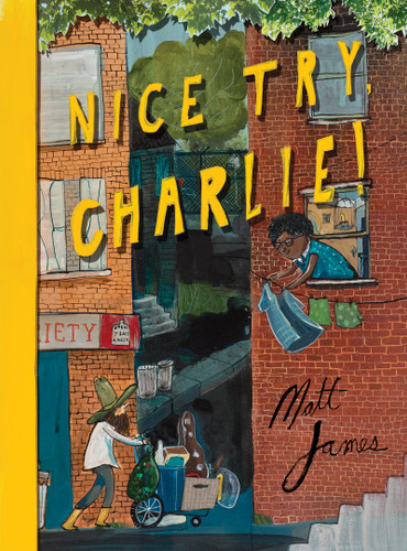 Nice Try, Charlie! by Matt James, 9781773061801