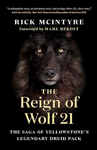 The Reign of Wolf 21 (The Saga of Yellowstone's Legendary Druid Pack) by Rick McIntyre, Marc Bekoff, 9781771645249