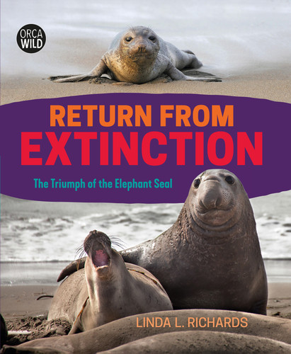 Return from Extinction (The Triumph of the Elephant Seal) by Linda L. Richards, 9781459821361