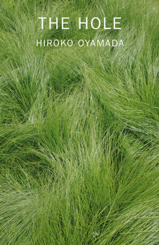The Hole - 9780811228879 by Hiroko Oyamada, David Boyd, 9780811228879