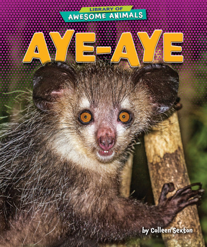Aye-Aye - 9781647471514 by Colleen Sexton, 9781647471514