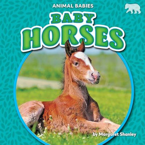 Baby Horses - 9781642809589 by Margaret Shanley, 9781642809589