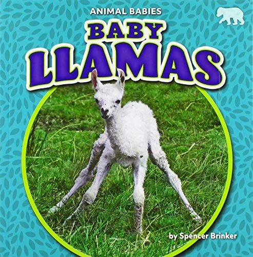 Baby Llamas - 9781642809664 by Spencer Brinker, 9781642809664