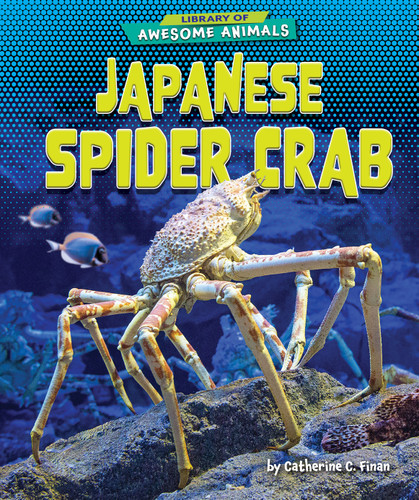 Japanese Spider Crab by Catherine C. Finan, 9781647471545