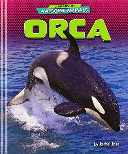 Orca - 9781647471477 by Rachel Rose, 9781647471477