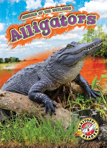 Alligators - 9781626179851 by Rachel Grack, 9781626179851