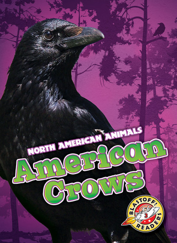 American Crows - 9781626179097 by Rebecca Sabelko, 9781626179097