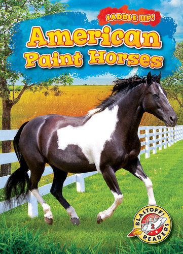 American Paint Horses - 9781644872314 by Rachel Grack, 9781644872314 American Paint Horses - 9781644872314 by Rachel Grack, 9781644872314