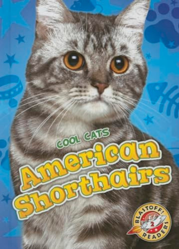 American Shorthairs - 9781626172302 by Christina Leaf