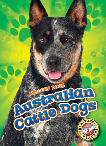 Australian Cattle Dogs by Lindsay Shaffer, 9781626179059