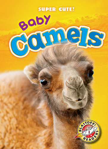 Baby Camels by Dana Fleming, Megan Borgert-Spaniol, 9781626173873