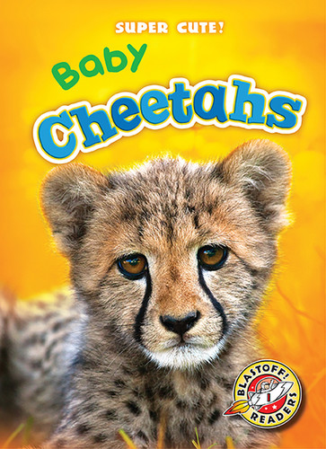 Baby Cheetahs - 9781626171688 by Dana Fleming, Christina Leaf, 9781626171688