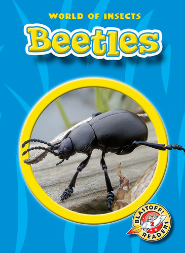 Beetles - 9781600146930 by Dana Fleming, Colleen Sexton, 9781600146930