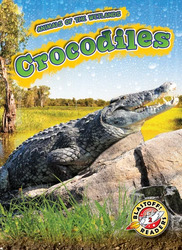 Crocodiles - 9781626179875 by Rachel Grack, 9781626179875