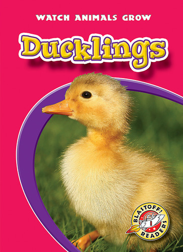 Ducklings - 9781600141676 by Mandy Kaplan, Colleen Sexton, 9781600141676
