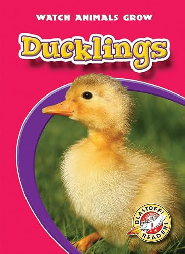 Ducklings - 9781600141676 by Colleen Sexton, Mandy Kaplan, 9781600141676