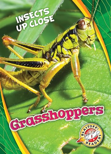 Grasshoppers - 9781626176652 by Patrick Perish, 9781626176652