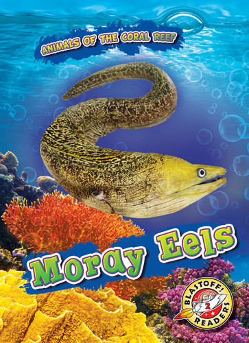 Moray Eels - 9781644871324 by Lindsay Shaffer, 9781644871324