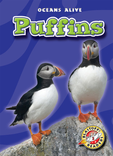 Puffins - 9781600142512 by Dana Fleming, Colleen Sexton, 9781600142512