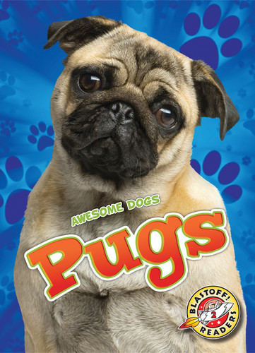 Pugs - 9781626175587 by Kari Schuetz, 9781626175587