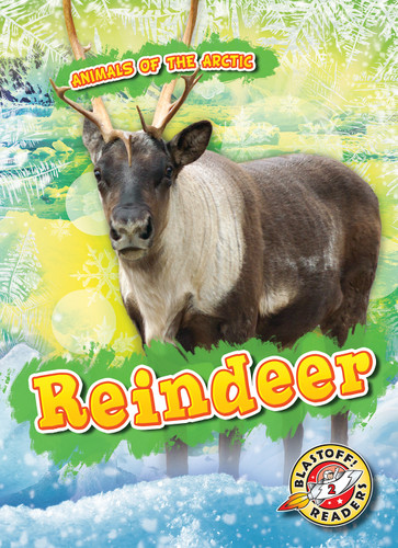 Reindeer by Dana Fleming, Rebecca Pettiford, 9781626179394