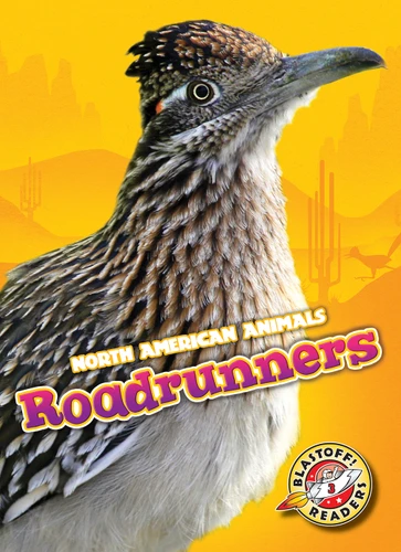 Roadrunners - 9781626175686 by Christina Leighton, 9781626175686