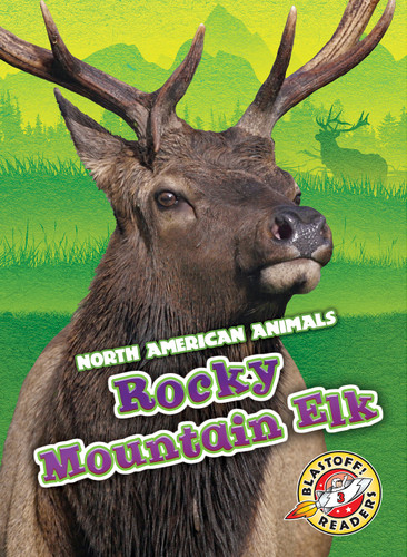 Rocky Mountain Elk by Rebecca Sabelko, 9781626178007