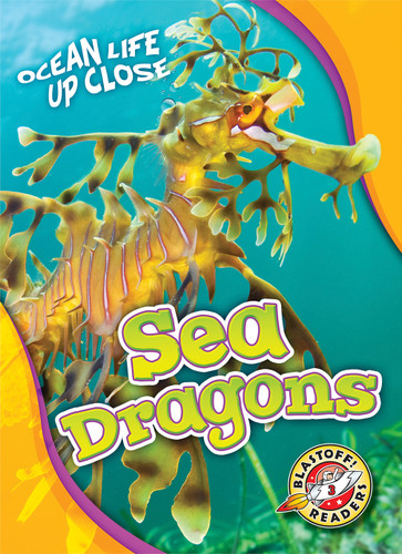 Sea Dragons - 9781626176447 by Heather Adamson, 9781626176447