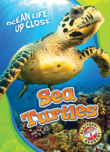 Sea Turtles - 9781626174221 by Kari Schuetz, 9781626174221