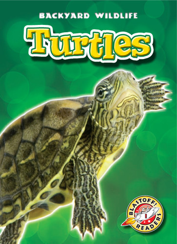 Turtles - 9781600144486 by Dana Fleming, Emily Green, 9781600144486