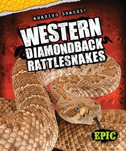 Western Diamondback Rattlesnakes by Chris Bowman, 9781626171268