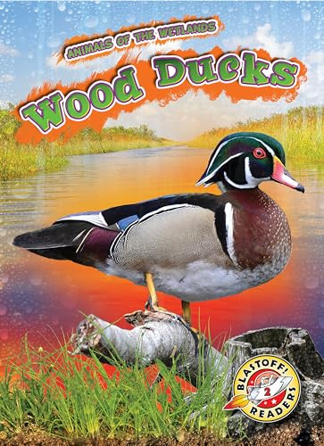 Wood Ducks by Rachel Grack, 9781626179905