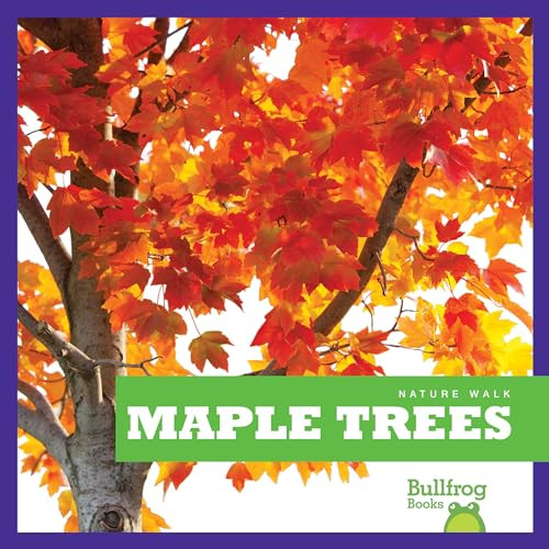 Maple Trees - 9781620314487 by Rebecca Stromstad Glaser, 9781620314487