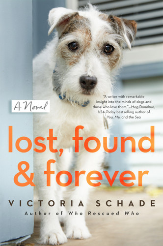 Lost, Found, and Forever by Victoria Schade, 9780593098851
