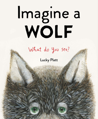 Imagine a Wolf by Lucky Platt, Lucky Platt, 9781624149320